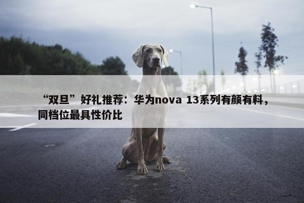 “双旦”好礼推荐：华为nova 13系列有颜有料，同档位最具性价比