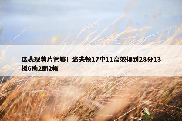 这表现薯片管够！洛夫顿17中11高效得到28分13板6助2断2帽